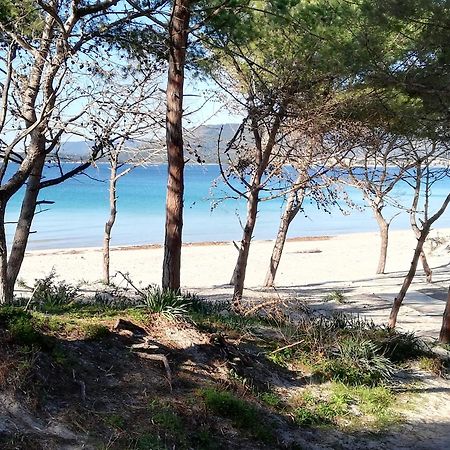 Nuovissimo Appartamento Con Terrazza 알게로 외부 사진